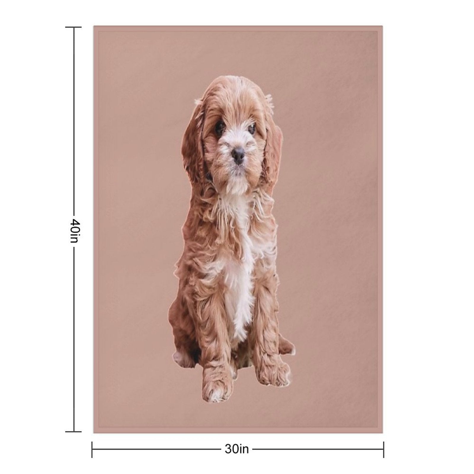 Cavapoo All-season Throw Blanket