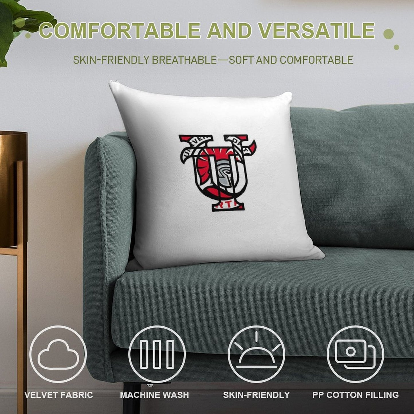 Spartans Soft Ultra-Soft Texture Throw Pillow
