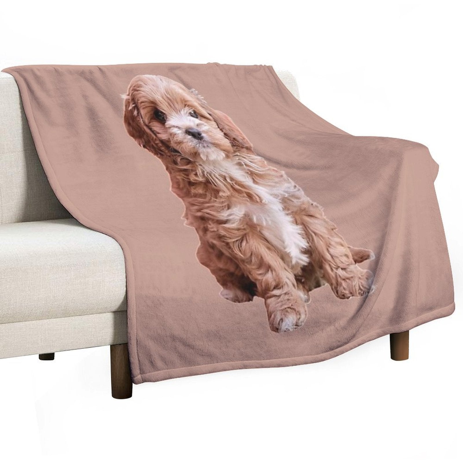 Cavapoo All-season Throw Blanket