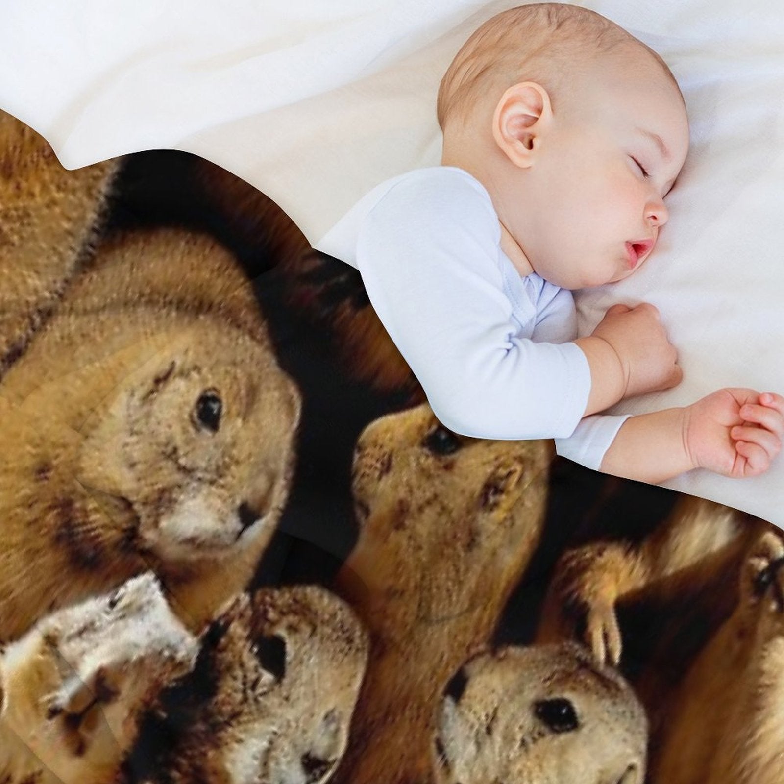 Prairie Dogs Wrinkle-free Throw Blanket