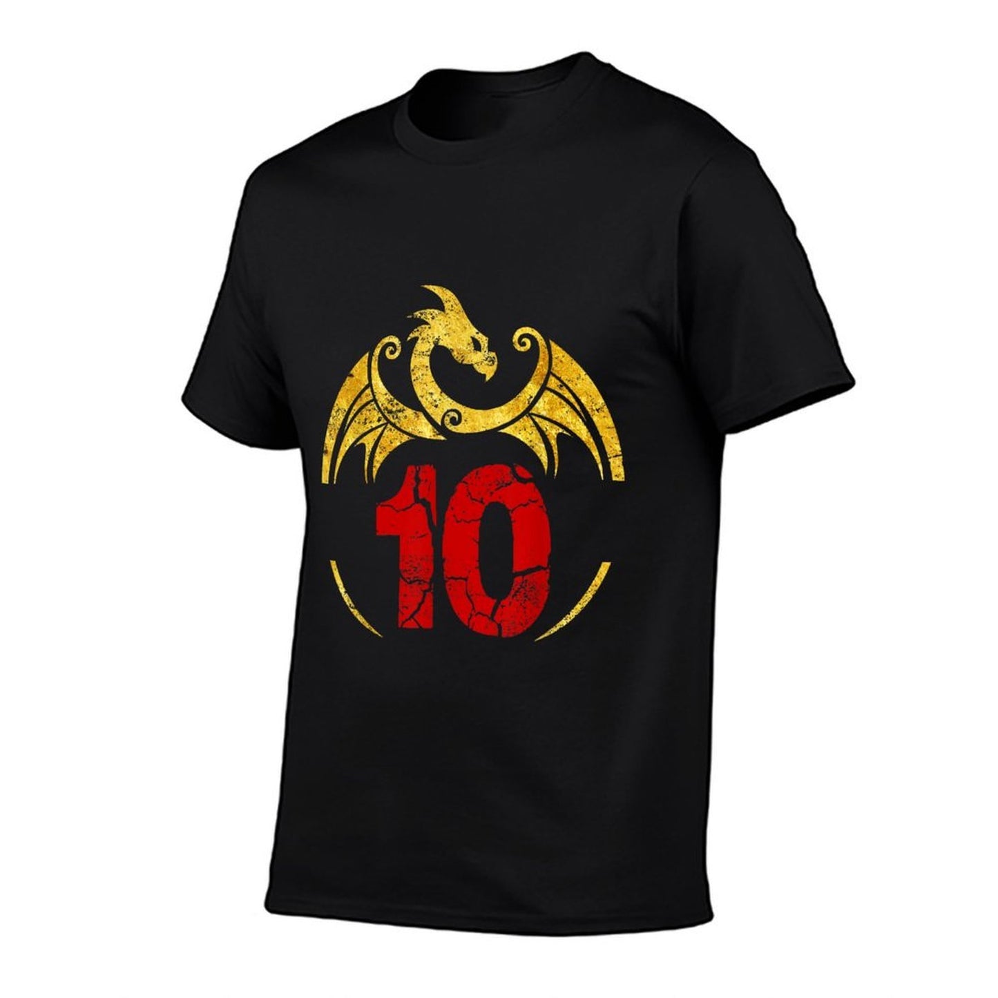 10th Birthday Gift Dragon Oversized Silhouette T-Shirt