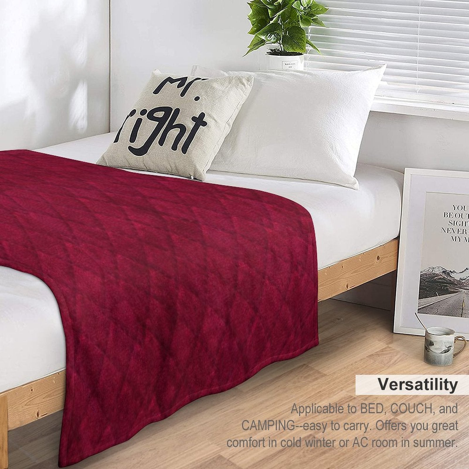 Red Velvet Plush Throw Blanket