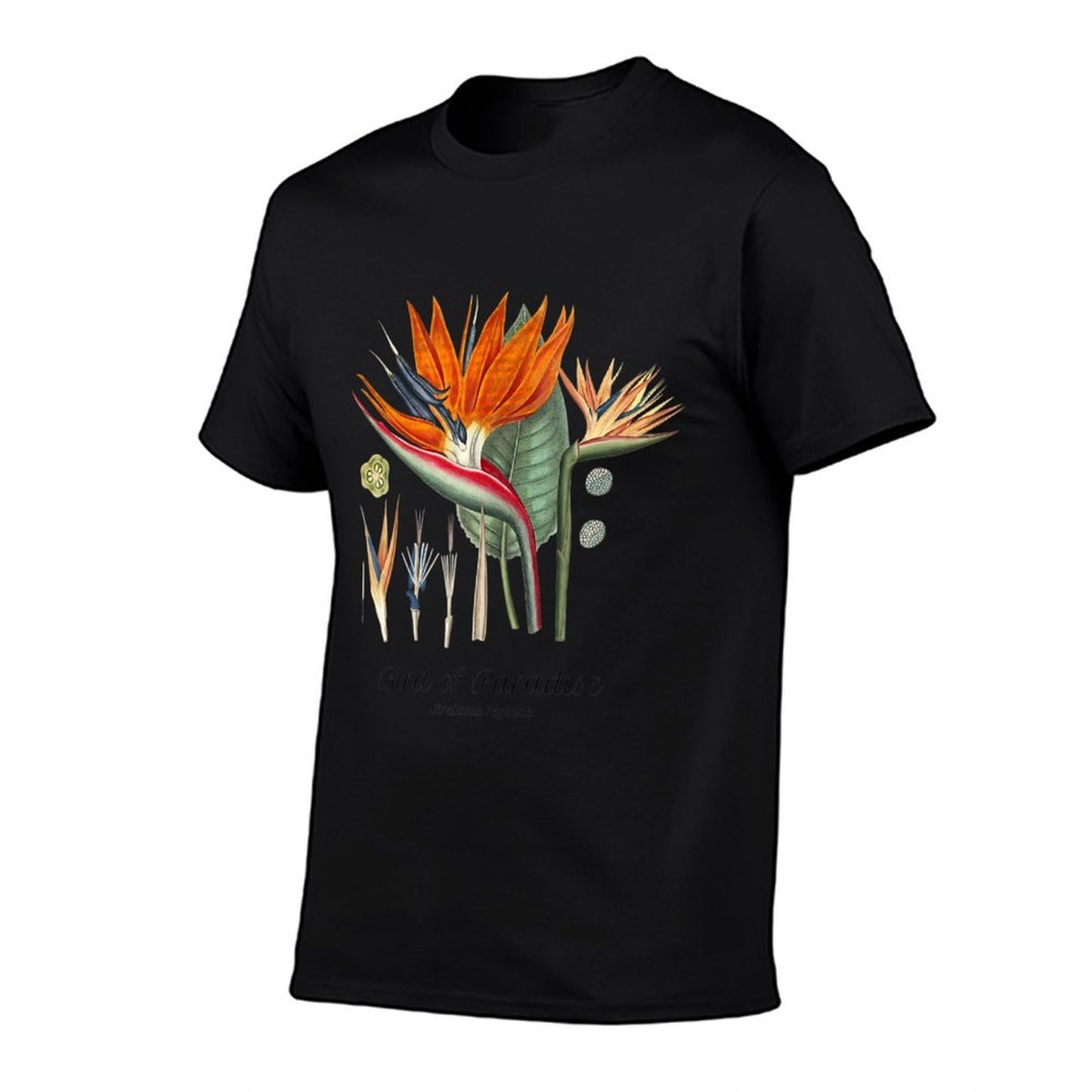Womens Bird of Paradise Botanical, Tropical Plants Classic T-Shirt