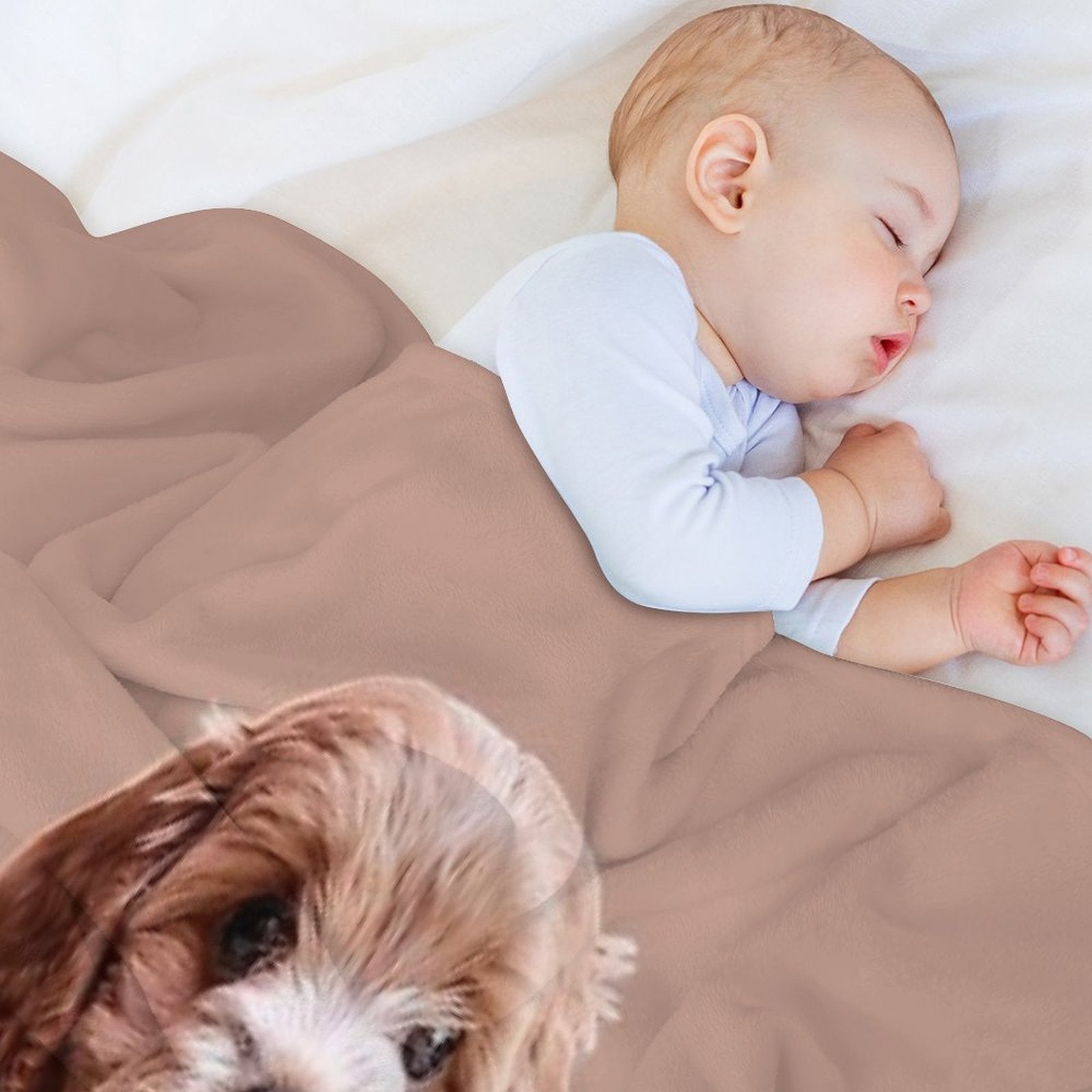 Cavapoo All-season Throw Blanket