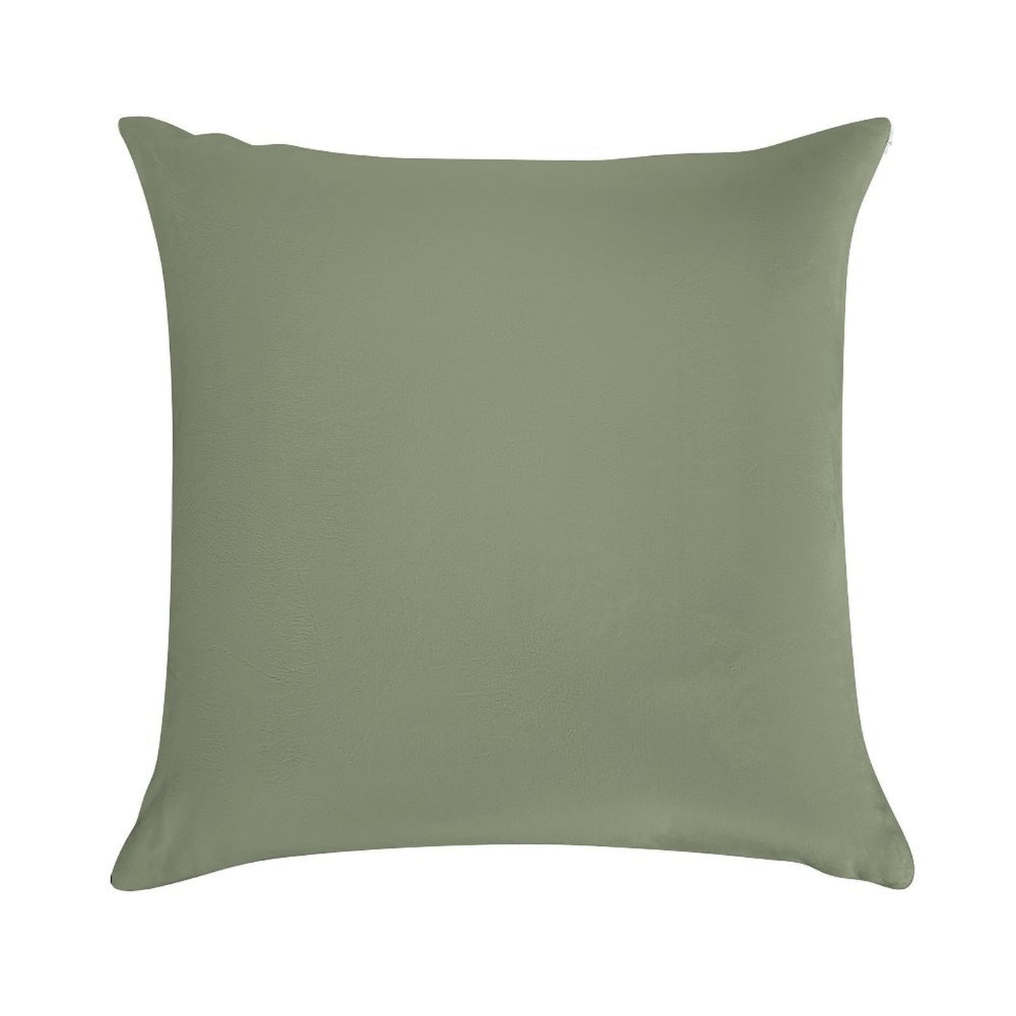 Sage Soft Decorative Cover Throw Pillow