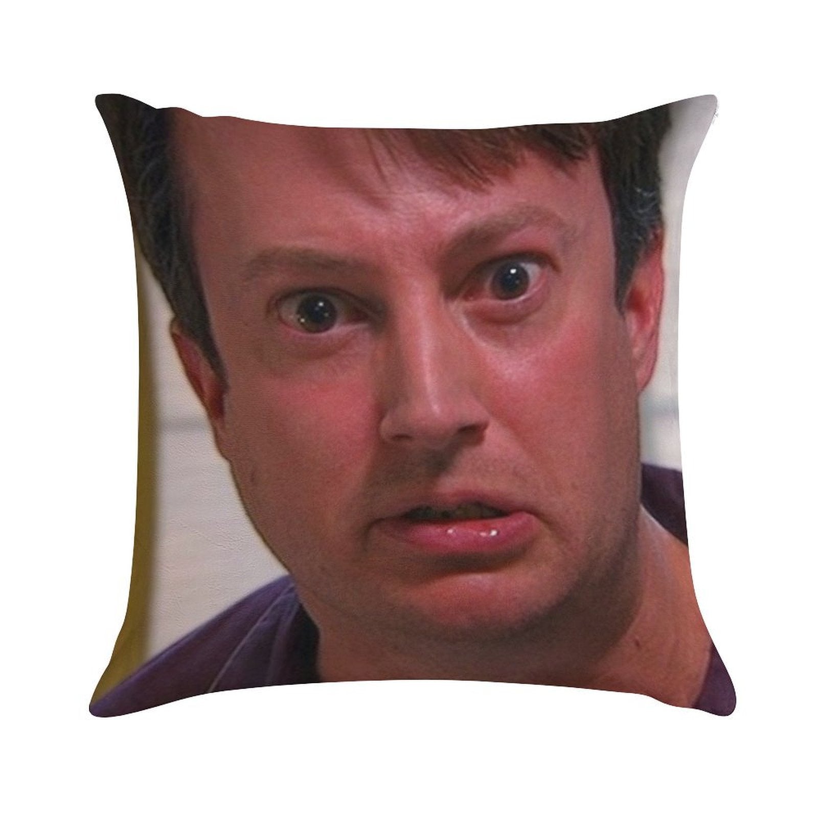 NO TURKEY! Soft Decorative Cover Throw Pillow