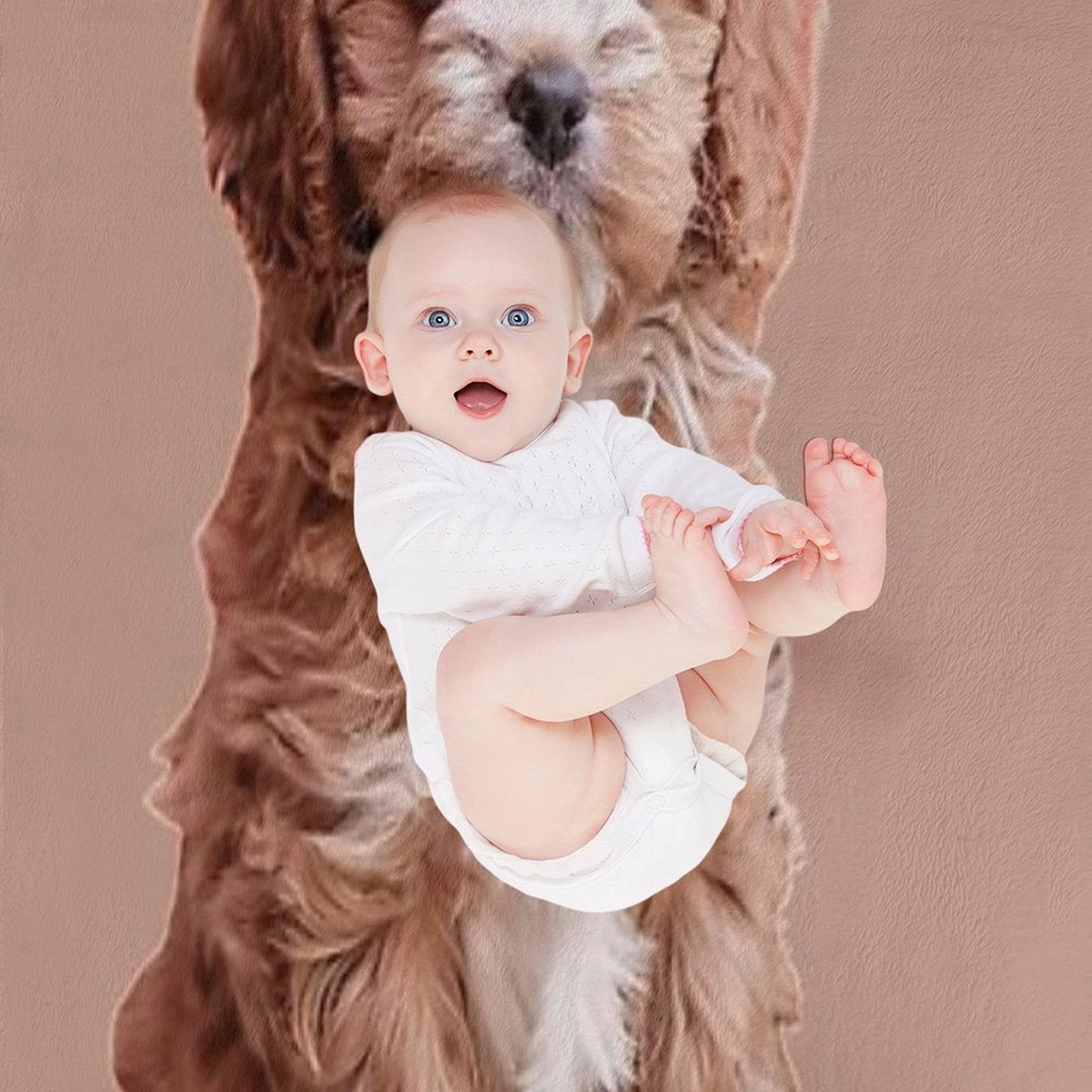 Cavapoo All-season Throw Blanket