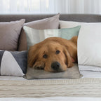 Golden Retriever Soft Home Decor Throw Pillow