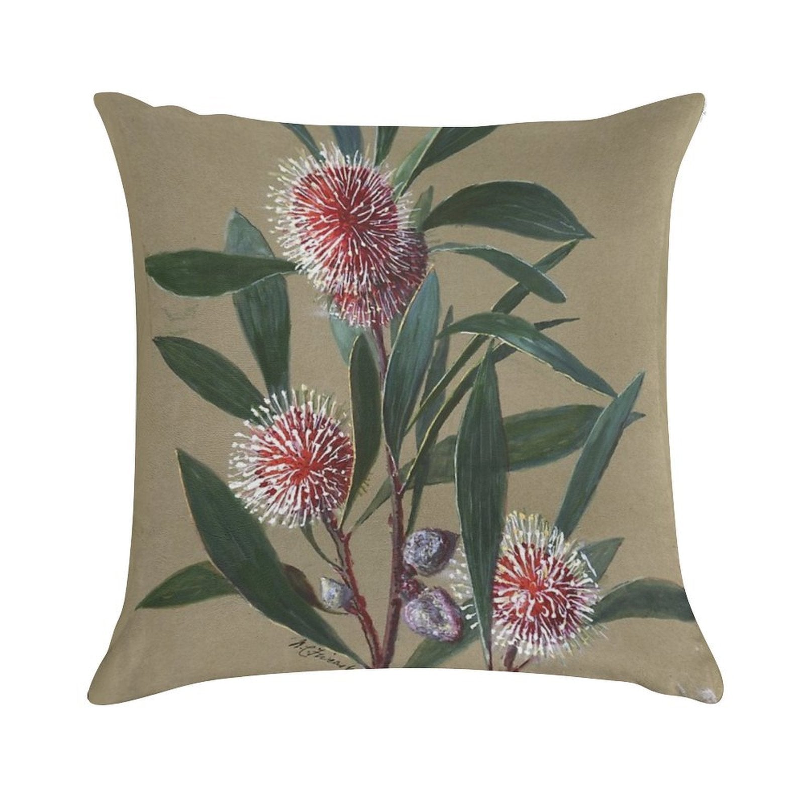Australian Wildflower Watercolor Pincushion Hakea Soft High-Density Material Throw Pillow