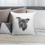 Blue Staffy Soft Warmth Comfort Throw Pillow