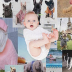 French Bulldog Collage Quick-dry Throw Blanket
