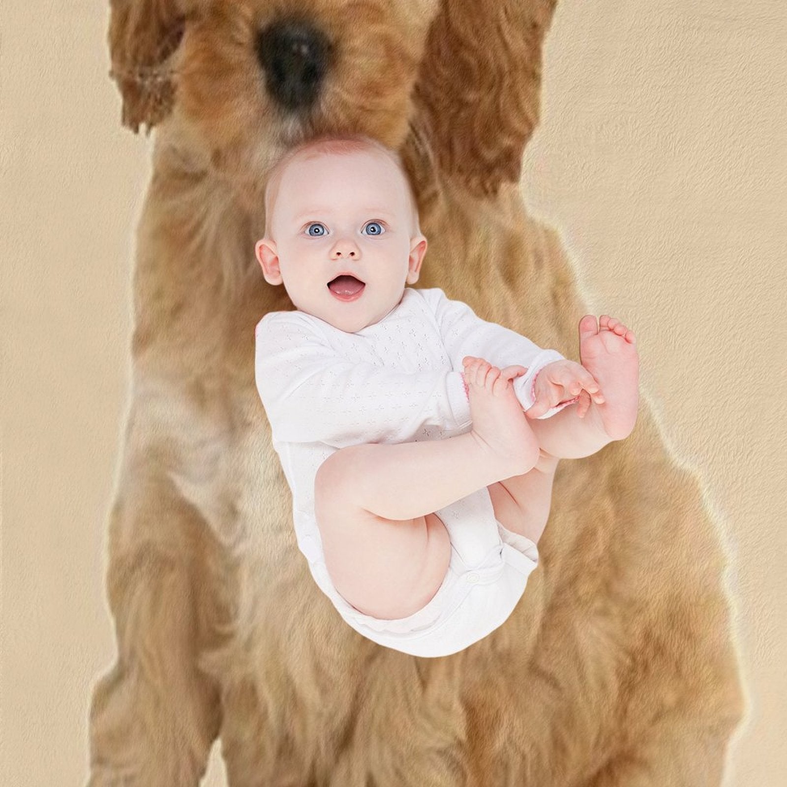 Cute Puppy Durable Throw Blanket