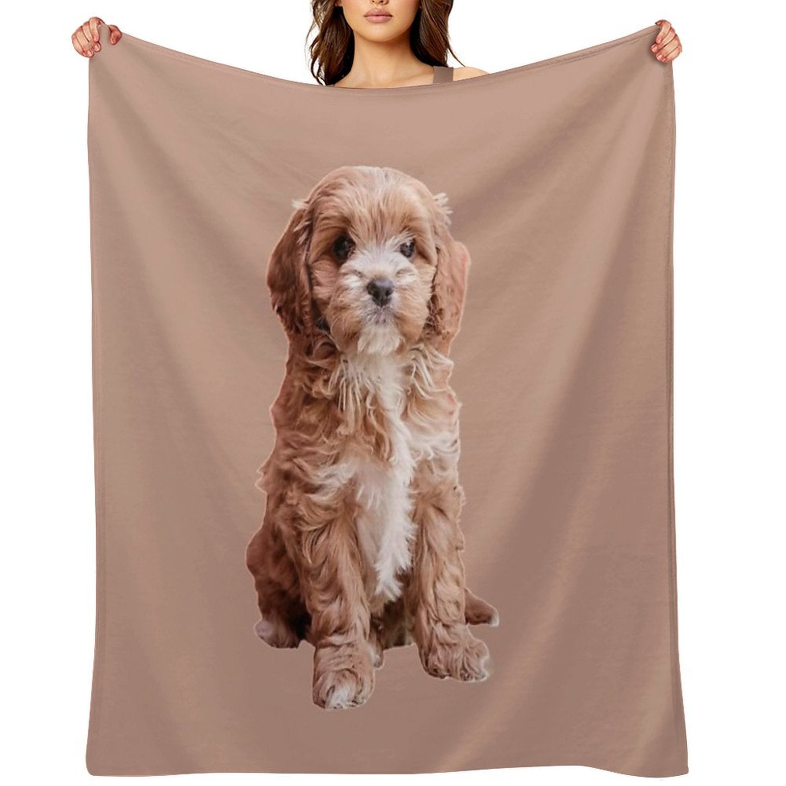 Cavapoo All-season Throw Blanket