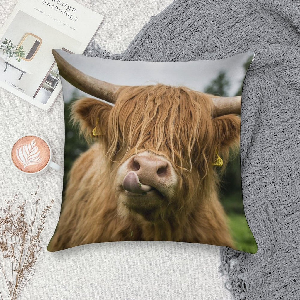 Highland Cow Soft Decorative Cover Throw Pillow