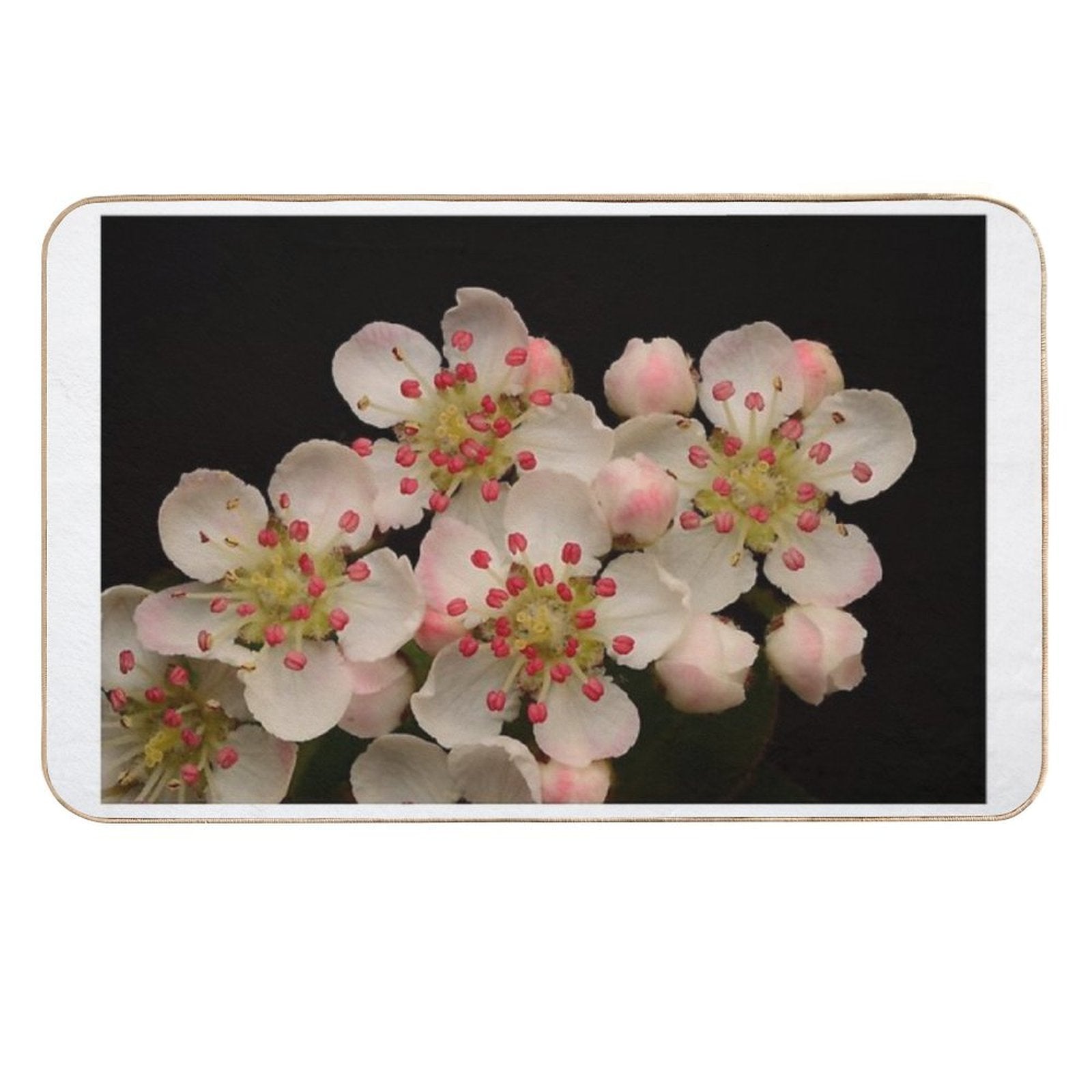 Macro of Aronia Melanocarpa Blossoms White Flowers  Stain-Proof Bath Mat