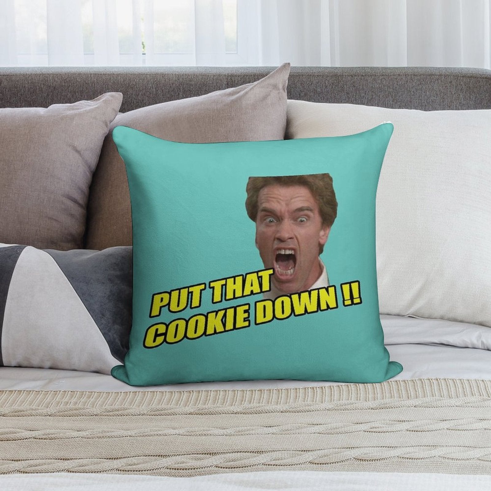 Put That Cookie Down ! Soft Easy Maintenance Throw Pillow