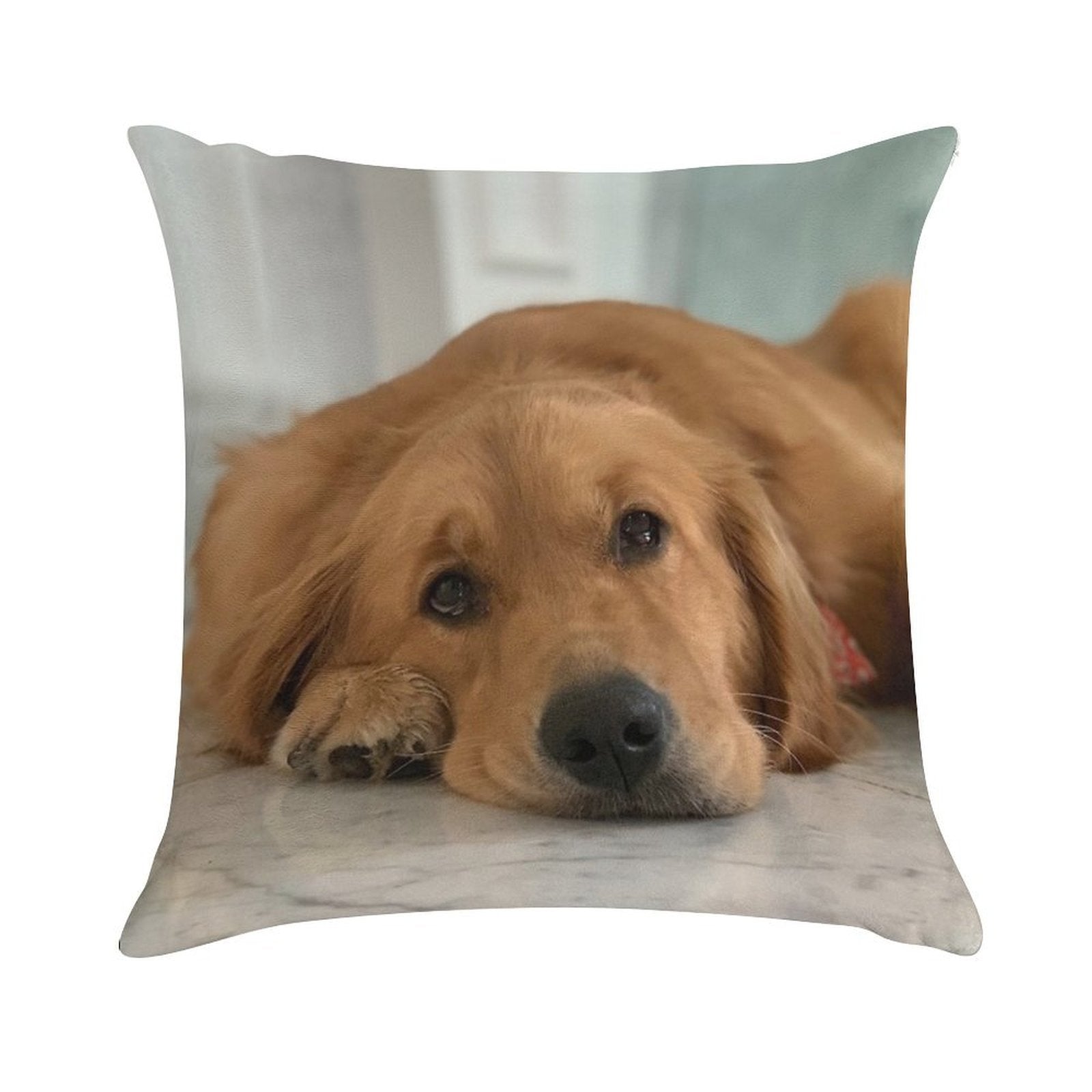 Golden Retriever Soft Home Decor Throw Pillow