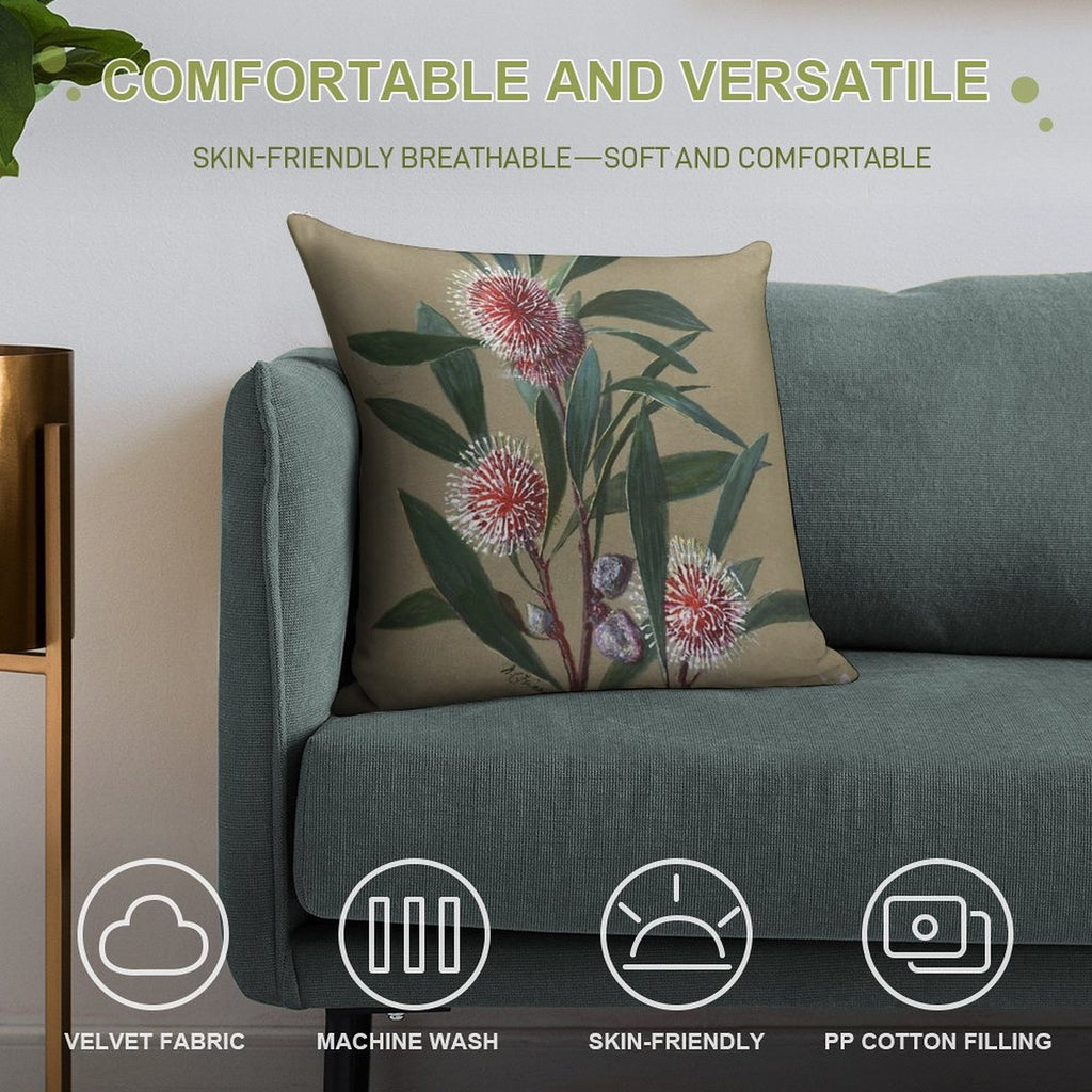 Australian Wildflower Watercolor Pincushion Hakea Soft High-Density Material Throw Pillow