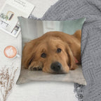 Golden Retriever Soft Home Decor Throw Pillow