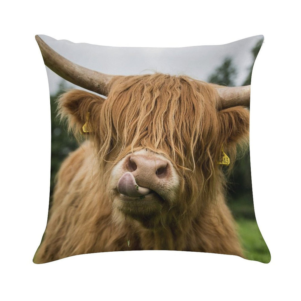 Highland Cow Soft Decorative Cover Throw Pillow