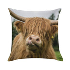 Highland Cow Soft Decorative Cover Throw Pillow