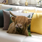 Highland Cow Soft Decorative Cover Throw Pillow