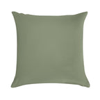 Sage Soft Decorative Cover Throw Pillow