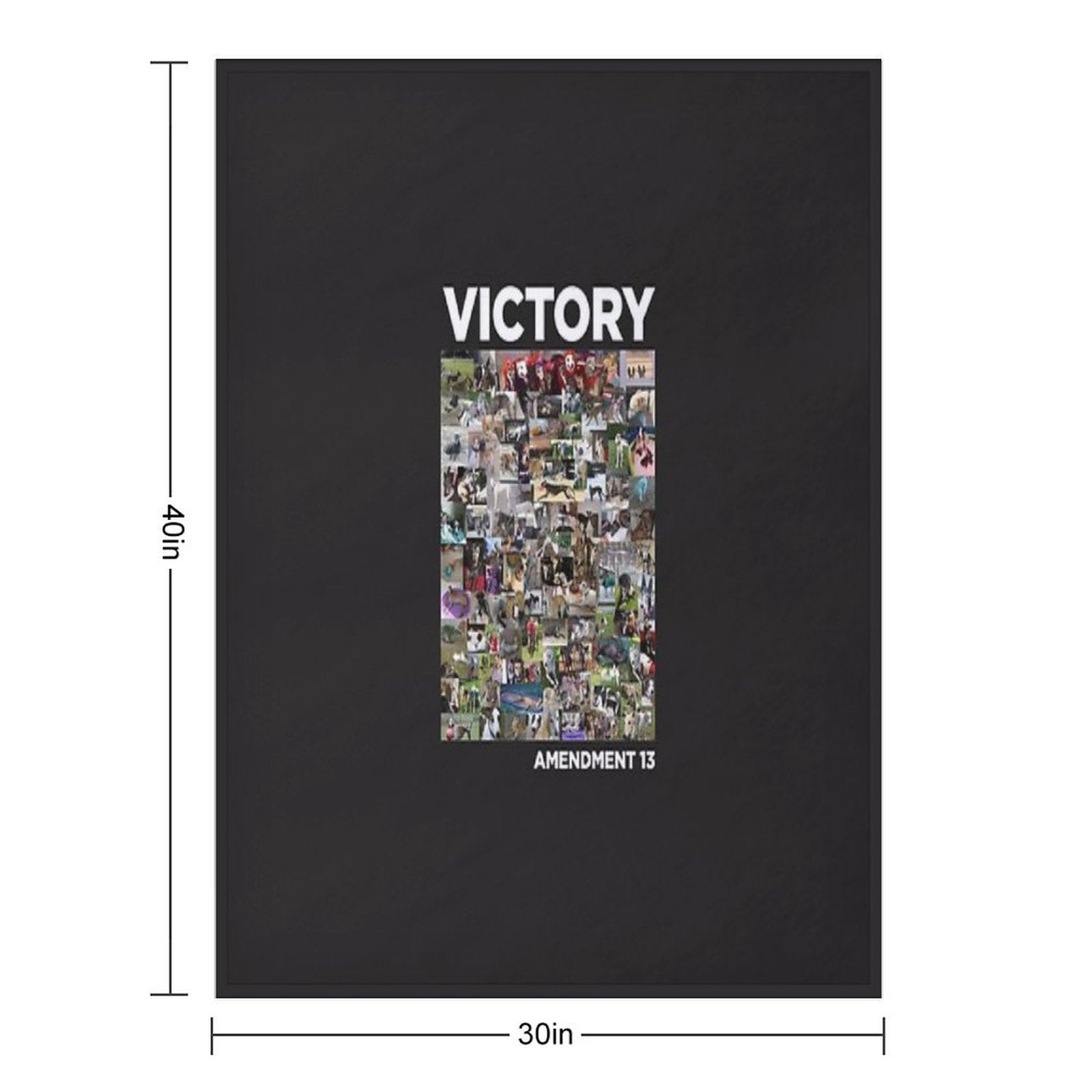 Victory - Amendment 13 in Color Essential T-Shirt Wrinkle-free Throw Blanket