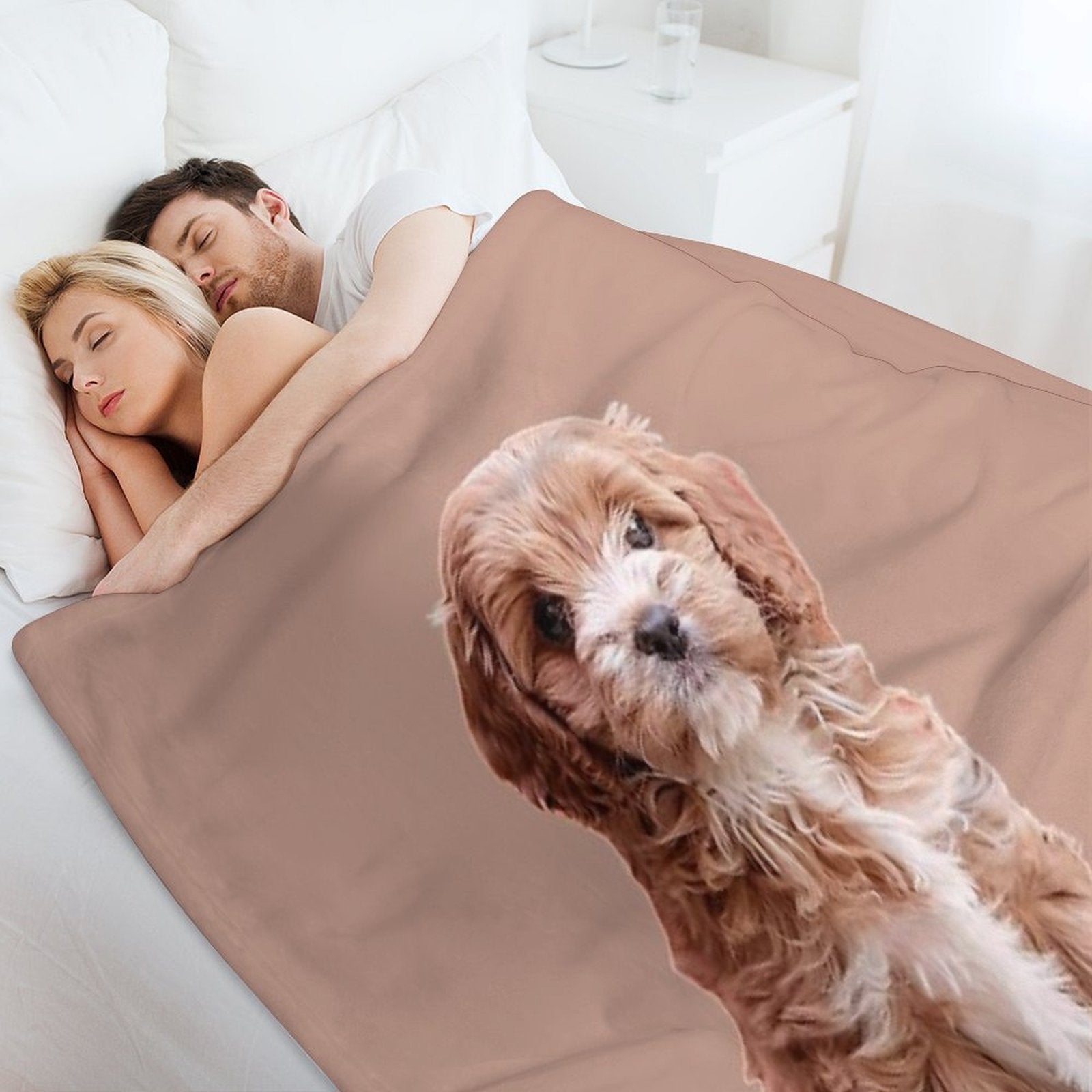 Cavapoo All-season Throw Blanket