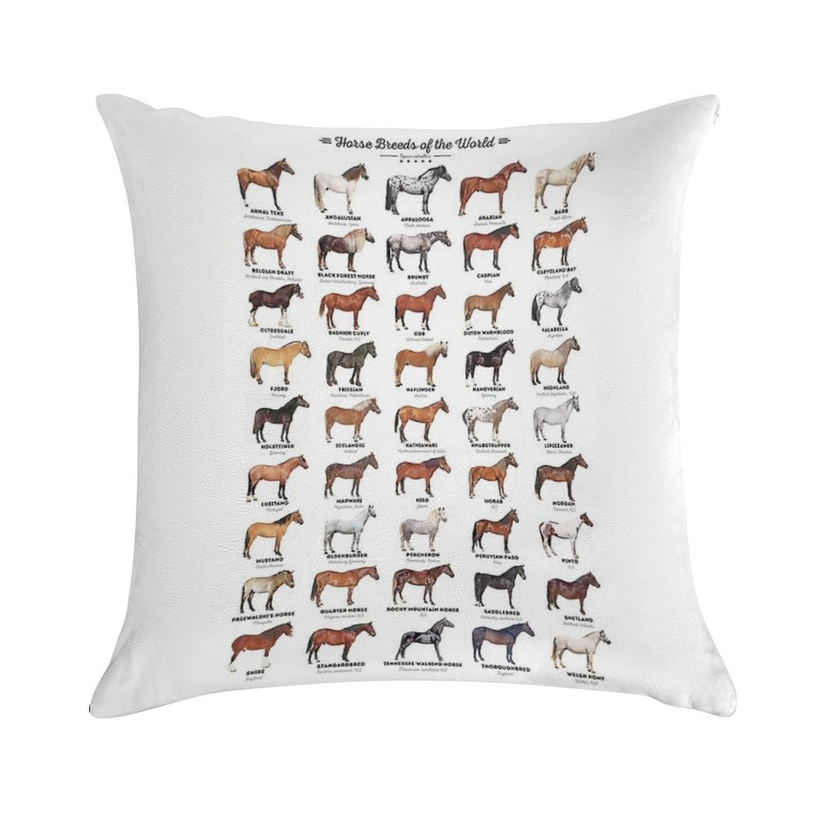 Horse Breeds Of The World Soft Skin-Friendly Throw Pillow
