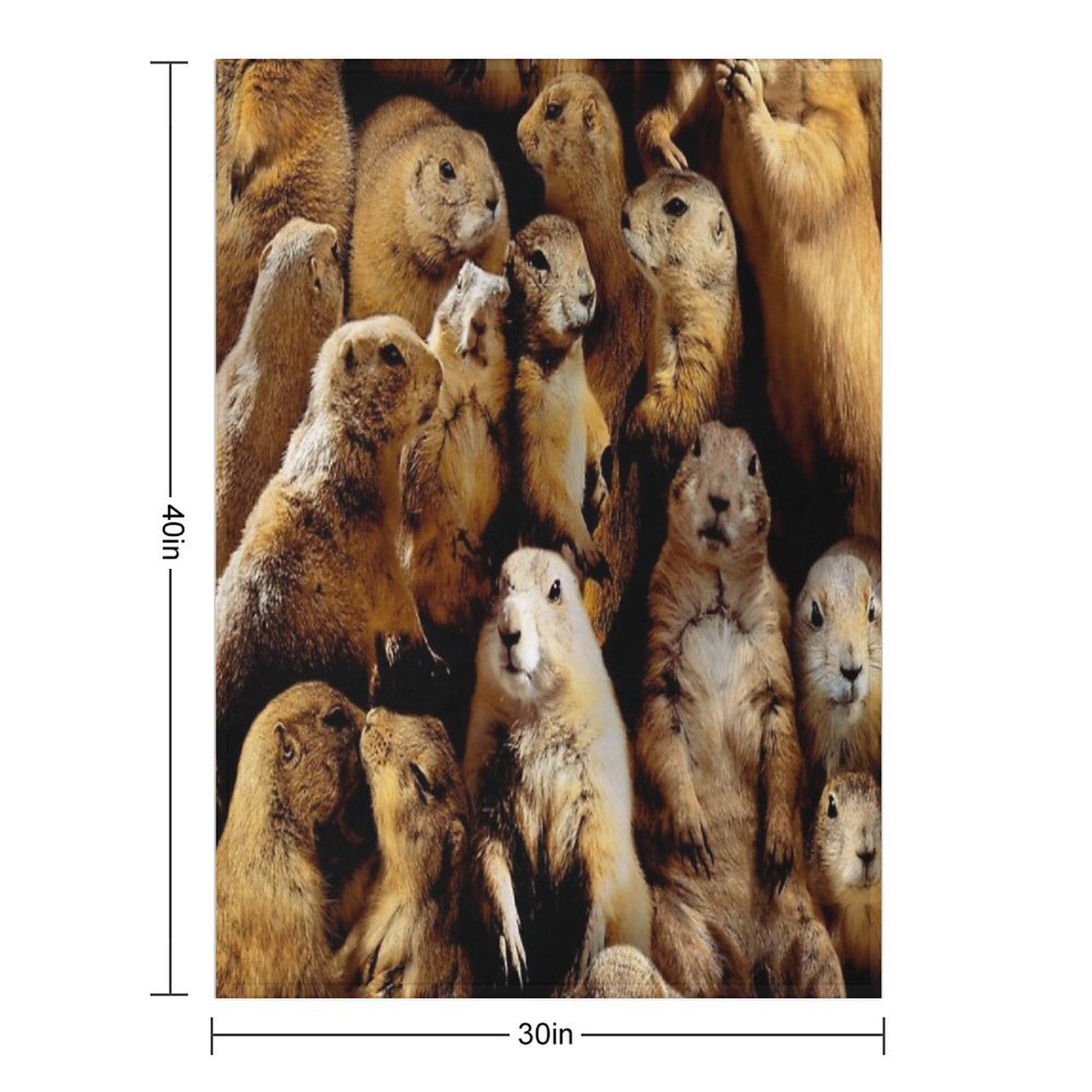 Prairie Dogs Wrinkle-free Throw Blanket