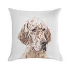 English Setter (Orange Belton) Soft Warmth Comfort Throw Pillow