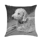 Bedlington Terrier Photo Soft Reinforced Edging Throw Pillow