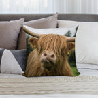 Highland Cow Soft Decorative Cover Throw Pillow
