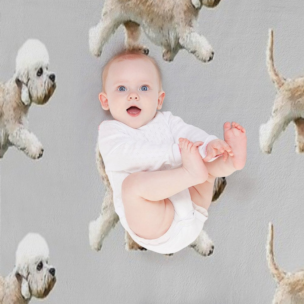 Dandie Dinmont Terrier Comfort Throw Blanket