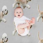 Dandie Dinmont Terrier Comfort Throw Blanket