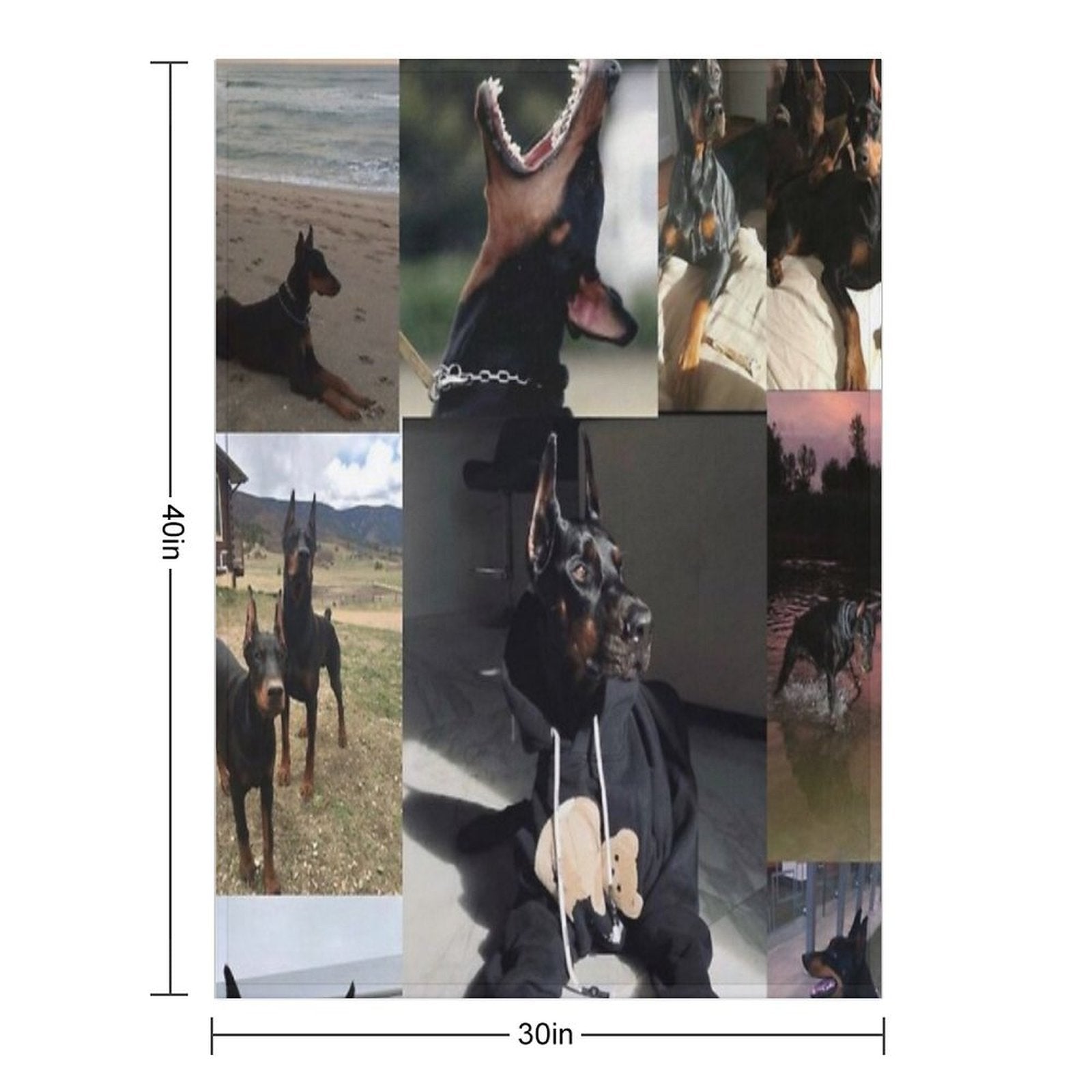 The Dobermann Collage Premium Throw Blanket