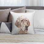 English Setter (Orange Belton) Soft Warmth Comfort Throw Pillow