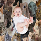 Pet Bonanza Gift-ready Throw Blanket