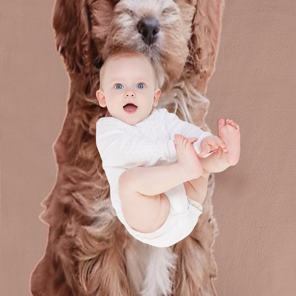 Cavapoo All-season Throw Blanket