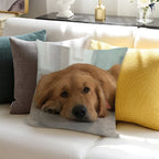 Golden Retriever Soft Home Decor Throw Pillow