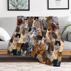 Pet Bonanza Gift-ready Throw Blanket