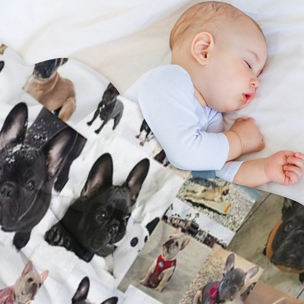 French Bulldog Collage Quick-dry Throw Blanket